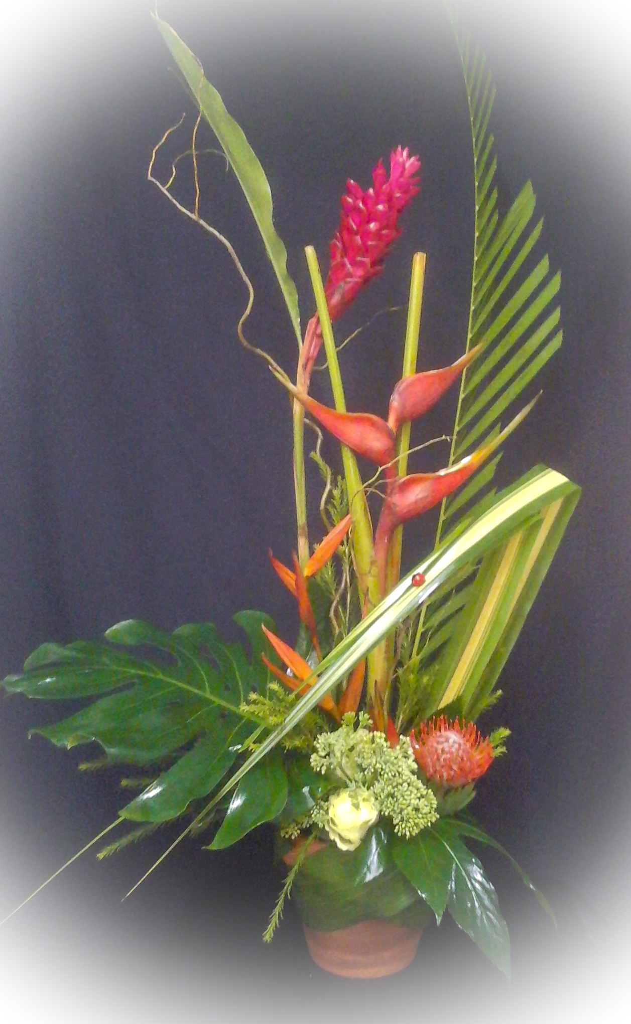 Fleurs
