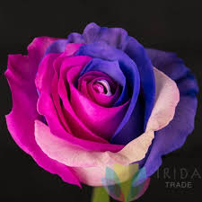Fleurs
